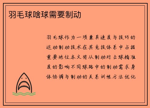 羽毛球啥球需要制动