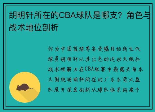 胡明轩所在的CBA球队是哪支？角色与战术地位剖析