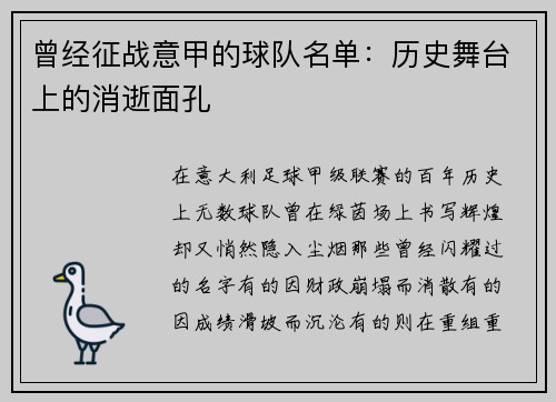 曾经征战意甲的球队名单：历史舞台上的消逝面孔